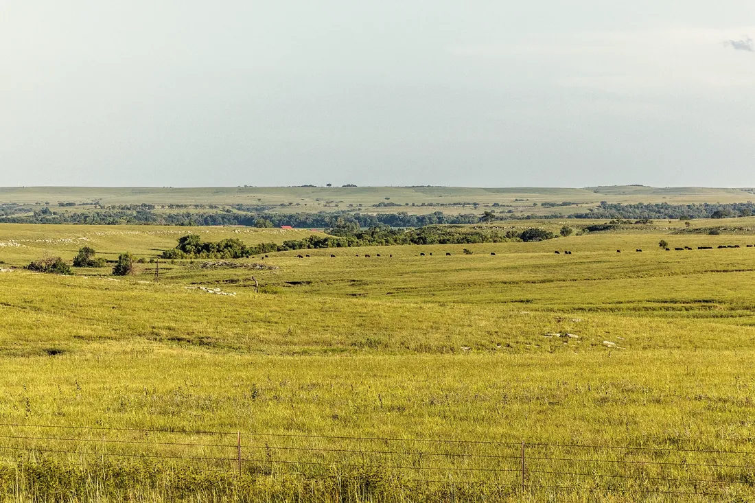 Open prairie hills under a wide sky