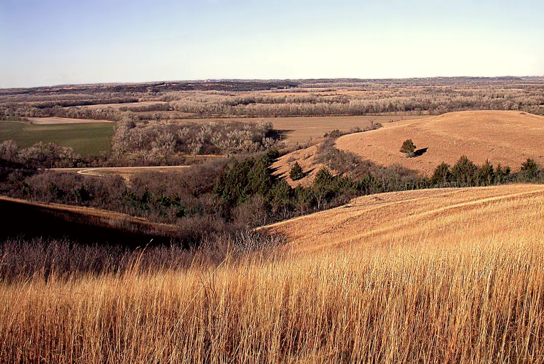 Golden tallgrass prairie rolling toward the horizon in the Flint Hills of Kansas